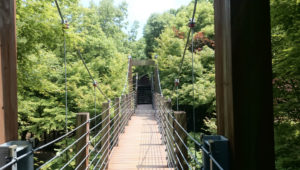 万博記念公園内のソラードの吊り橋
