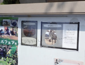 京都市動物園の掲示板