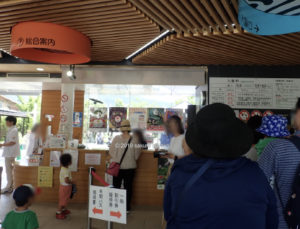 京都市動物園のチケット売り場