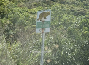西表島の道路標識