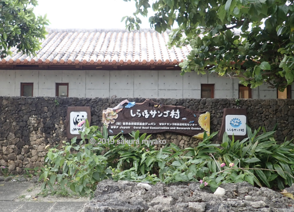 しらほサンゴ村