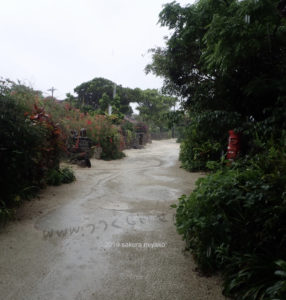 雨の竹富島